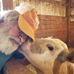Barry H. Braun - Facebook