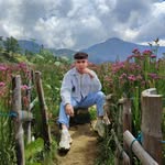 Barry Bravo - @barrithebiscuit - Instagram