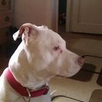 Barry Braxton - @braxtonbarry - Instagram