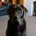 Barry Bray - @bazbray1968 - Instagram