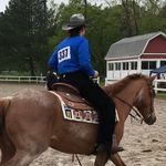 Reining & Barrel Racing - @reining.sliding - Instagram