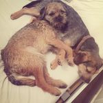 Barry Brewster - @barryandteddie - Instagram