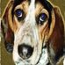 Barry Braker - Facebook