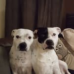 Barry Bridgewater - @bridgewaterbarry - Instagram