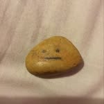Im Barry (the Pebble) - @barry_from_brighton - Instagram