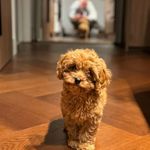 Barrybritt - @barrybritt00 - Instagram