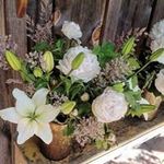 Brittany Barry - @barry.brittany04 - Instagram