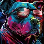 Barry Brouillette - Facebook