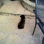 Barry - @barry_bunny - Instagram