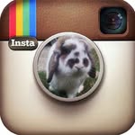 Barry❤🐰 - @barrybunnyy - Instagram