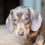 barry burden - @bazzadachs - Instagram