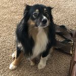 Barry Burrows - @burrows.barry - Instagram