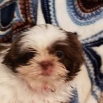 Barry Burt - @barryburt - Instagram