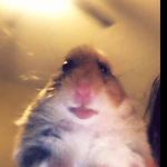 barry burton - @surge097 - Instagram