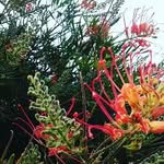 Barry.Bush - @barry.bush123 - Instagram