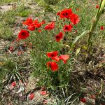 Barry Byer - @barrybyer - Instagram