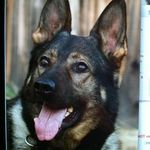 Barry Byers - @barry.byers - Instagram