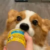 barrybiz - @barrybyebye - TikTok