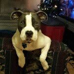 Barry Byers - @byersbarry4845 - Instagram
