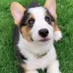 barry cash - @barrycash583 - Instagram