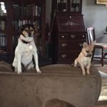 Barry Chance - @bc4222 - Instagram