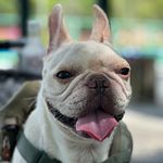 Barry Chiu - @barrycaffe - Instagram