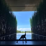 Barry - @barry.chow - Instagram