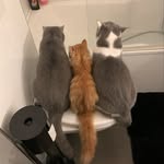 Archie, Barry & Cisco - @abc_of_s_and_m - Instagram