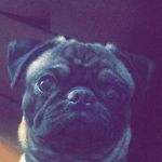 Barry Cisneros - @barrysoscary_ - Instagram