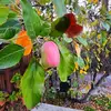 Barry Cisneros - @barry.cisneros - TikTok