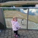 Barry Clancy - @barryclancy83 - Instagram