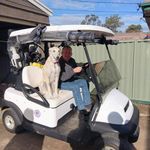 Barry Cleary - @cleary.barry48 - Instagram