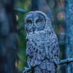 Barry Cline - @bhcline - Instagram