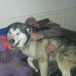 Barry Coates - @barry.coates.12 - Instagram
