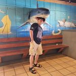 Barry Cobb - @barrycobb12gmail.com9 - Instagram