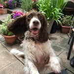 Barry Cobb - @barry.cobb.52 - Instagram