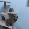 Barry..Coby - @barry..coby - TikTok