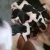 Barry Cochran - @barry.cochran - TikTok