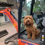 Barry Cochrane - @barry.cochrane._ - Instagram