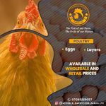 Ayodele Barrycode Farms.Ltd - @ayodele_barrycode_farms.ltd - Instagram