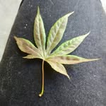 Barry Collier - @barry.collier.10297 - Instagram