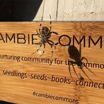 Barry Jung - @cambiecommons - Instagram