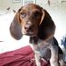 Barry Hodgkins - Facebook