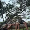 Bray Constable - @bray.constable - TikTok
