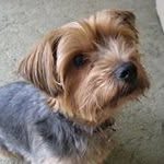 Lynne Constable - @barry_constable - Instagram