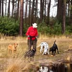 Barry Cooke - @barry.cooke.169 - Instagram