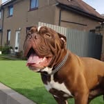 Barry Cooney - @barry_cooney_27 - Instagram