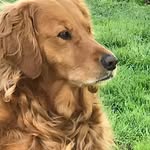 Barry Copeland - @barrycopeland727 - Instagram