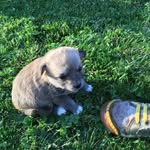 Barry Corn - @kecalvarry - Instagram