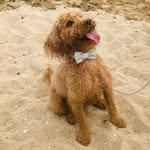 Barry Corner - @barry_corner - Instagram